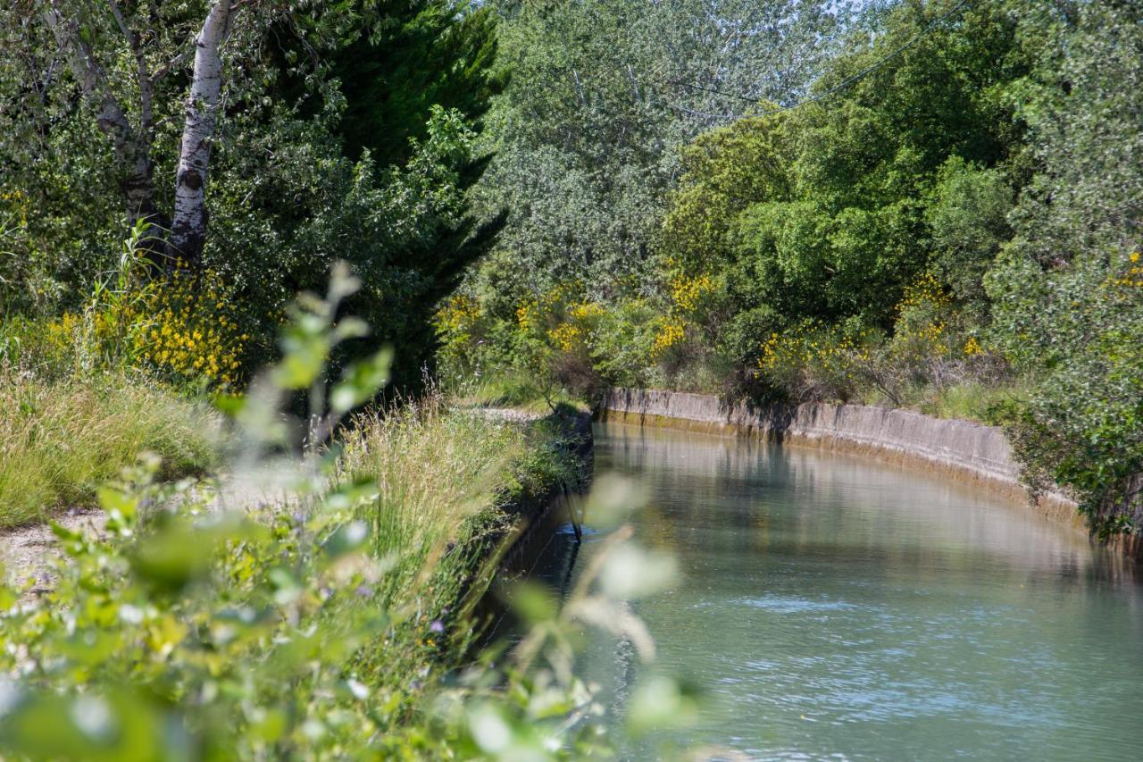 El Sama-In , Piscine Chauffee Villa LʼIsle-sur-la-Sorgue Exteriör bild