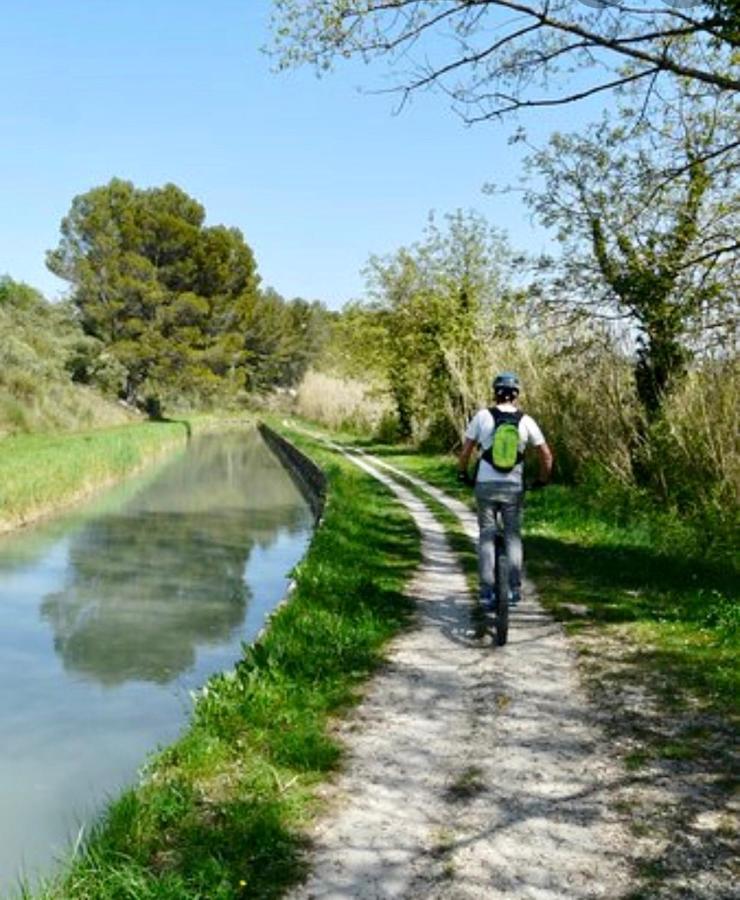 El Sama-In , Piscine Chauffee Villa LʼIsle-sur-la-Sorgue Exteriör bild
